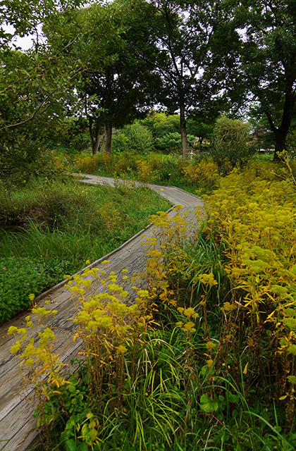 河川環境楽園の風景の写真