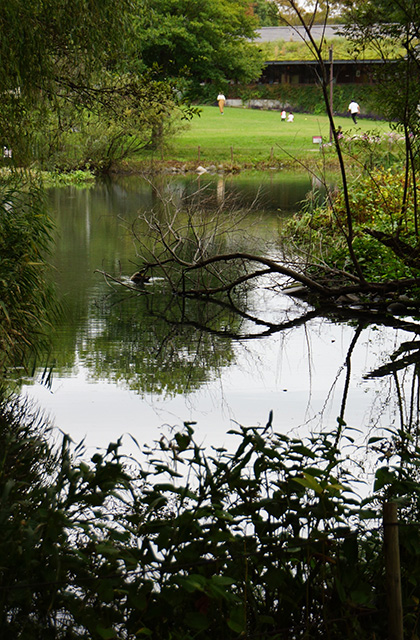 河川環境楽園の風景の写真