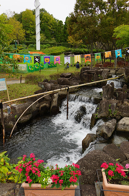 河川環境楽園の風景の写真