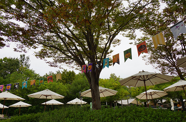 河川環境楽園の風景の写真