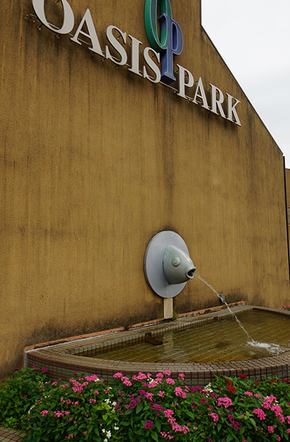 河川環境楽園の風景の写真