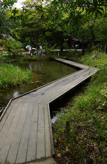 河川環境楽園の風景の写真