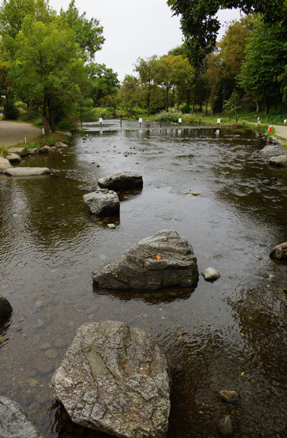 河川環境楽園の風景の写真