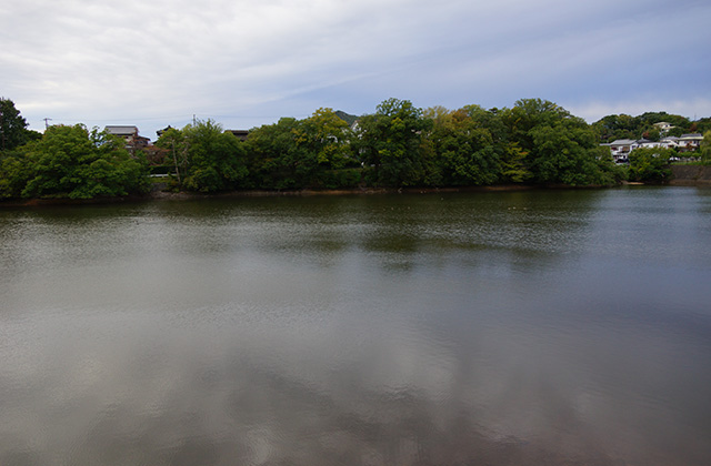合戸池のマガモの写真