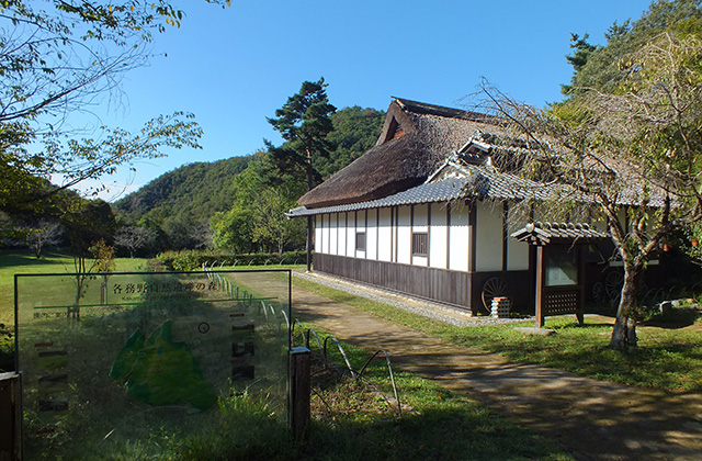 各務野自然遺産の森の風景の写真