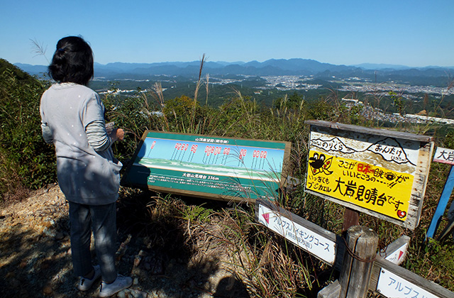 各務野自然遺産の森の風景の写真