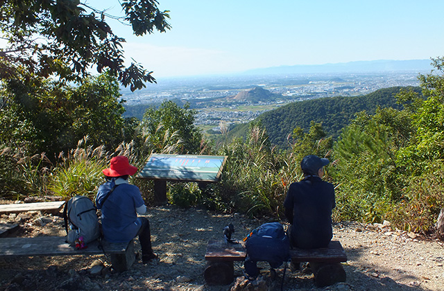 各務野自然遺産の森の風景の写真