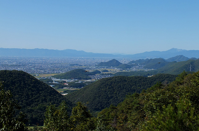 各務野自然遺産の森の風景の写真