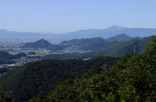 各務野自然遺産の森の風景の写真