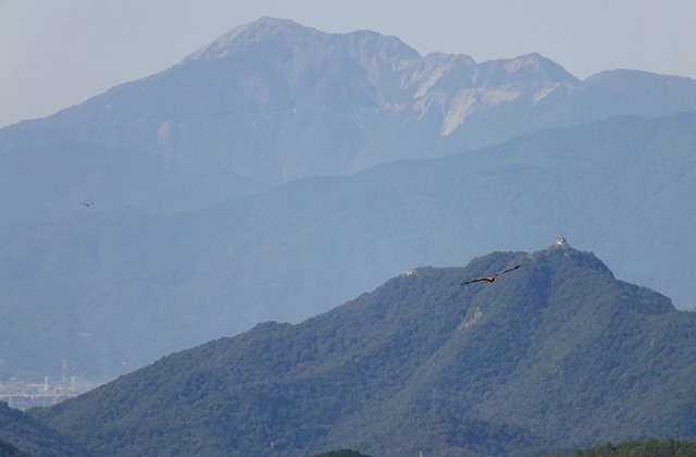 各務野自然遺産の森の風景の写真