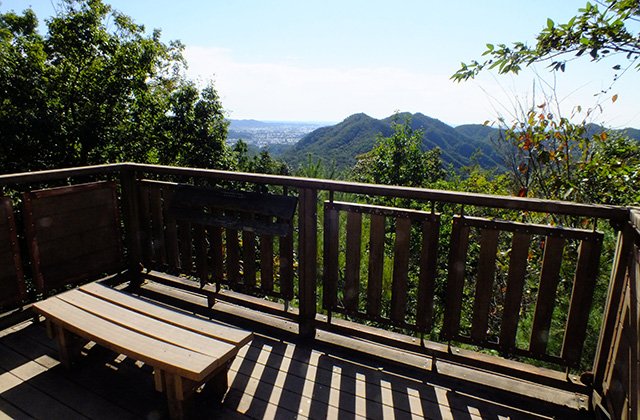 各務野自然遺産の森の風景の写真