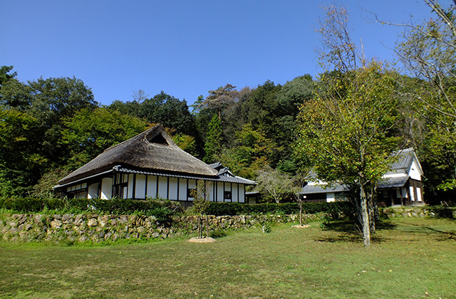 各務野自然遺産の森の風景の写真