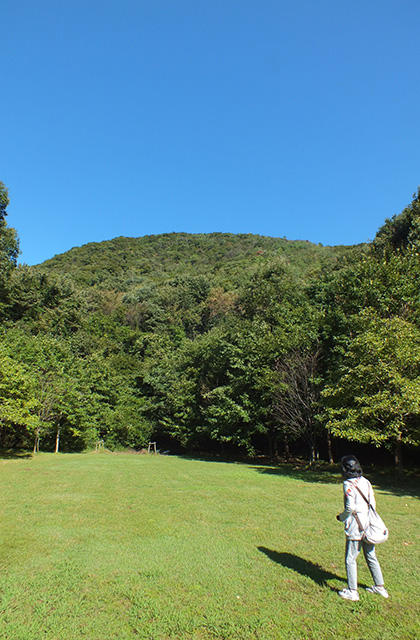 各務野自然遺産の森の風景の写真