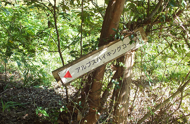 各務野自然遺産の森の風景の写真