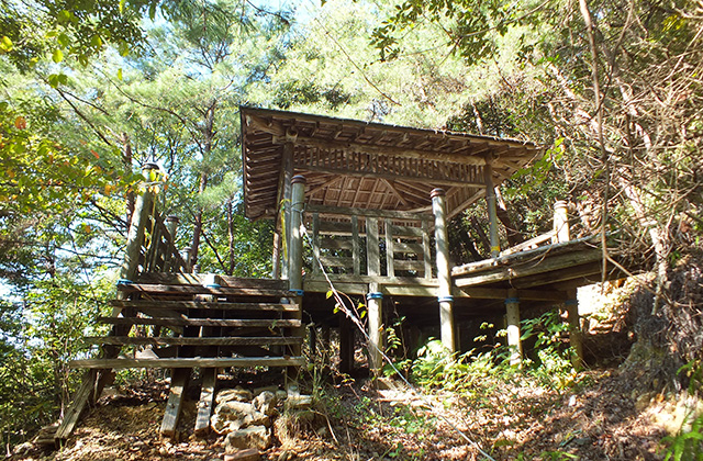 各務野自然遺産の森の風景の写真
