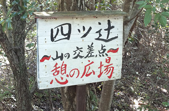 各務野自然遺産の森の風景の写真