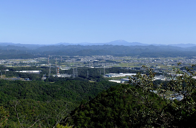 各務野自然遺産の森の風景の写真
