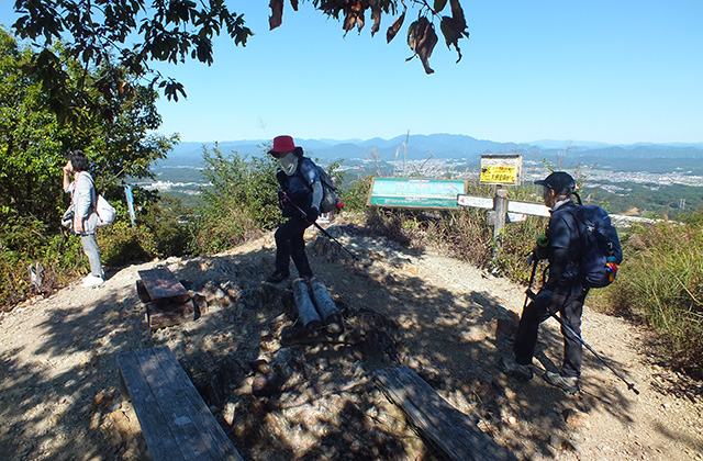 各務野自然遺産の森の風景の写真
