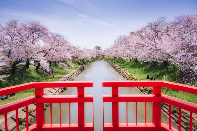 第50回各務原市桜まつりの「マーケット」「ステージ」「協賛」の募集をしています