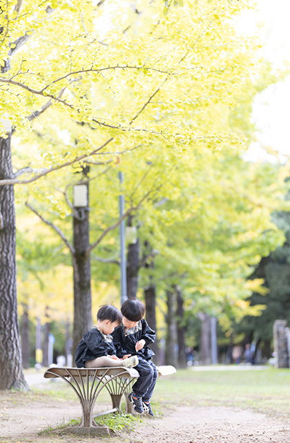 学びの森のイチョウ並木の写真