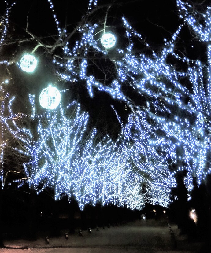 イルミネーション