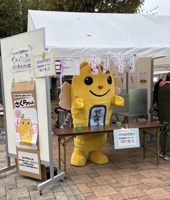 chubu