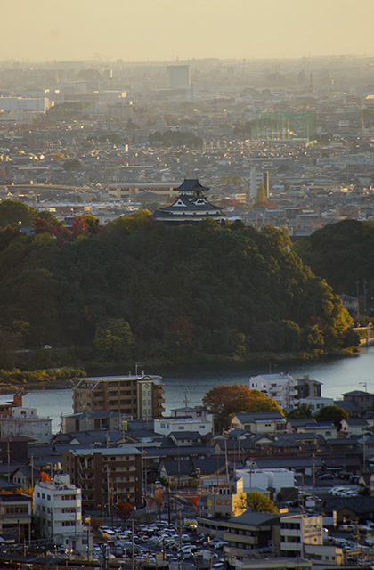 うぬまの森の風景の写真