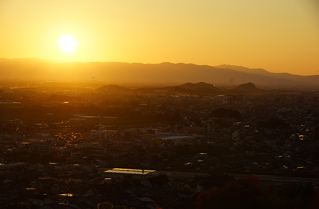 うぬまの森の風景の写真
