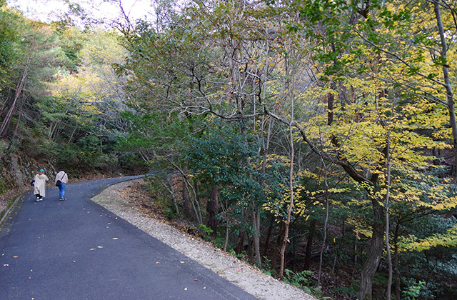 うぬまの森の風景の写真