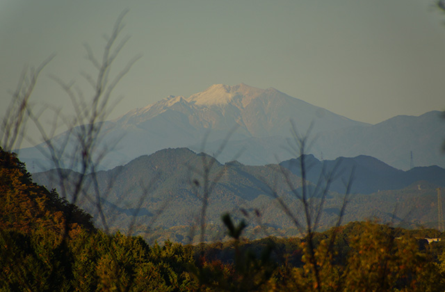 うぬまの森の風景の写真