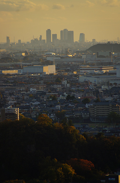 うぬまの森の風景の写真