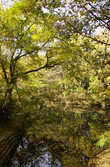 河跡湖公園の景色の写真