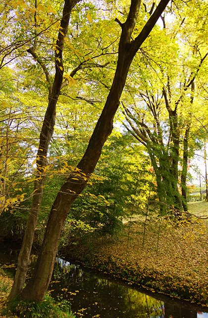 河跡湖公園の景色の写真