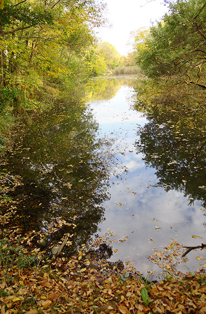 河跡湖公園の景色の写真