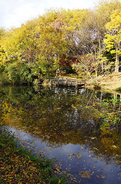 河跡湖公園の景色の写真