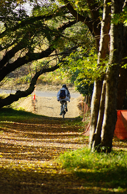 河跡湖公園の景色の写真