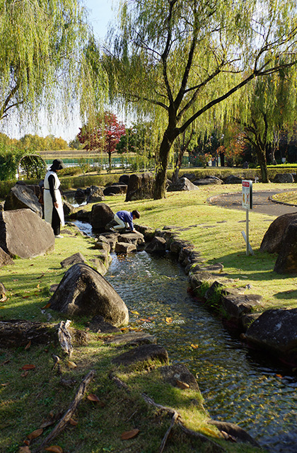 浄水公園の景色の写真