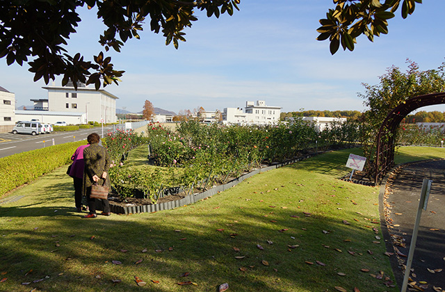 浄水公園の景色の写真