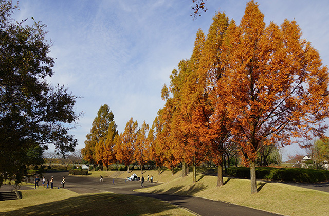 浄水公園の景色の写真
