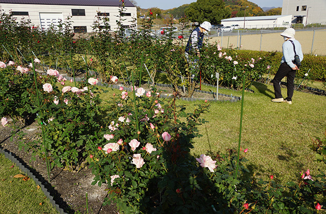 浄水公園の景色の写真