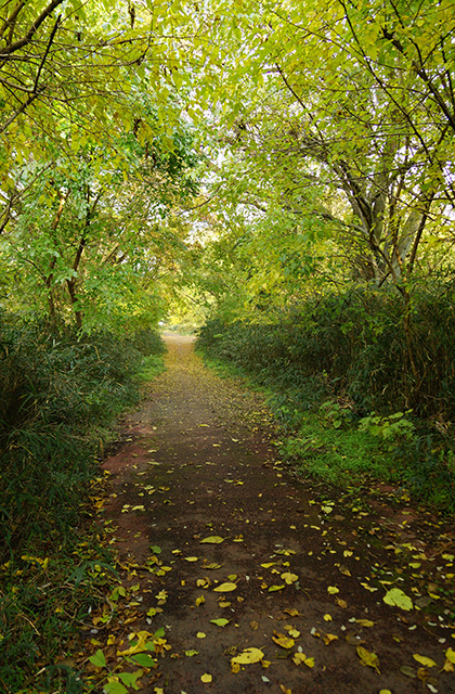 各務原アウトドアフィールドの風景の写真