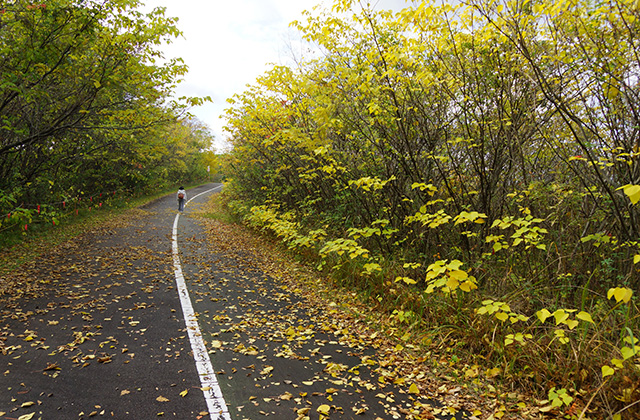 総合運動公園の風景の写真