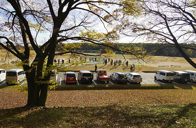 総合運動公園の風景の写真