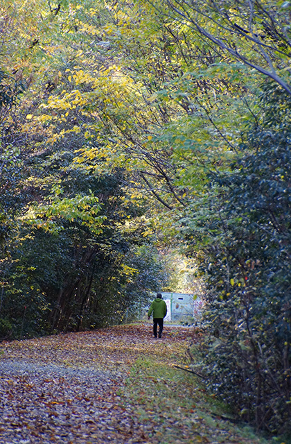 総合運動公園の風景の写真