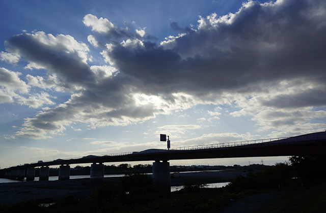 総合運動公園の風景の写真