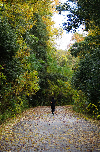 総合運動公園の風景の写真