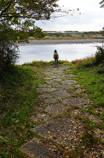 総合運動公園の風景の写真
