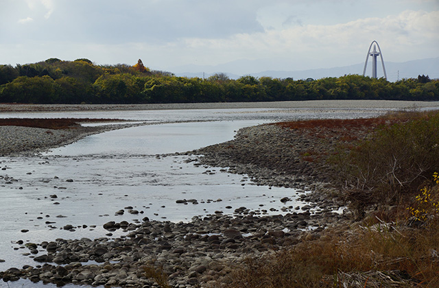 総合運動公園の風景の写真