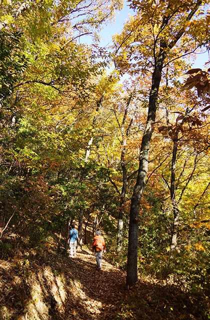 伊木山の景色の写真