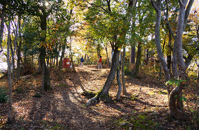 伊木山の景色の写真